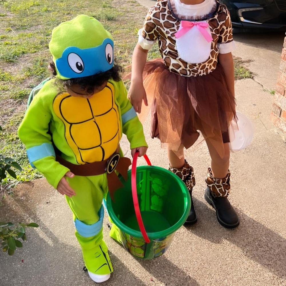 Ninja turtle costume